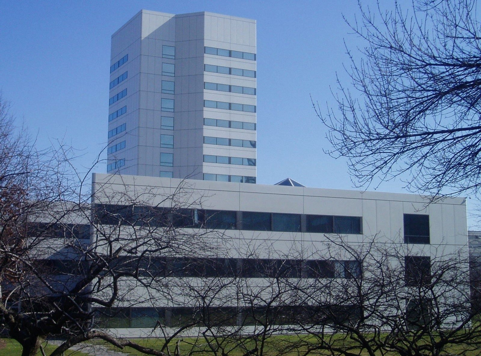 Johnson & Johnson: The headquarters tower above a low wing