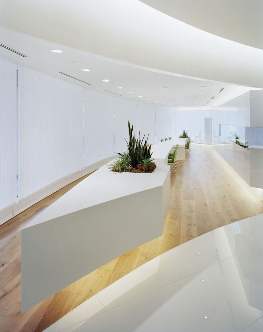 Kao: A long white curving wall with a planter of greenery above a light wood floor