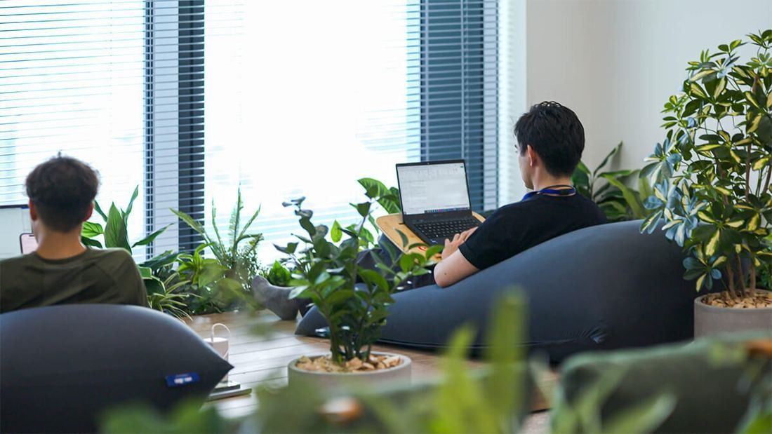KDDI: Two people seen from behind working on laptops in large bean-bag seats among plants by the window