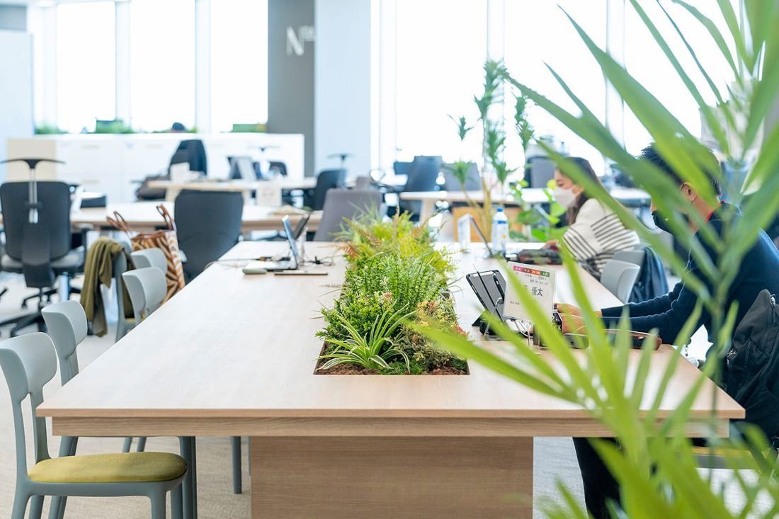 Kirin Holdings: Long desk with a built-in planter and grey chairs near the windows