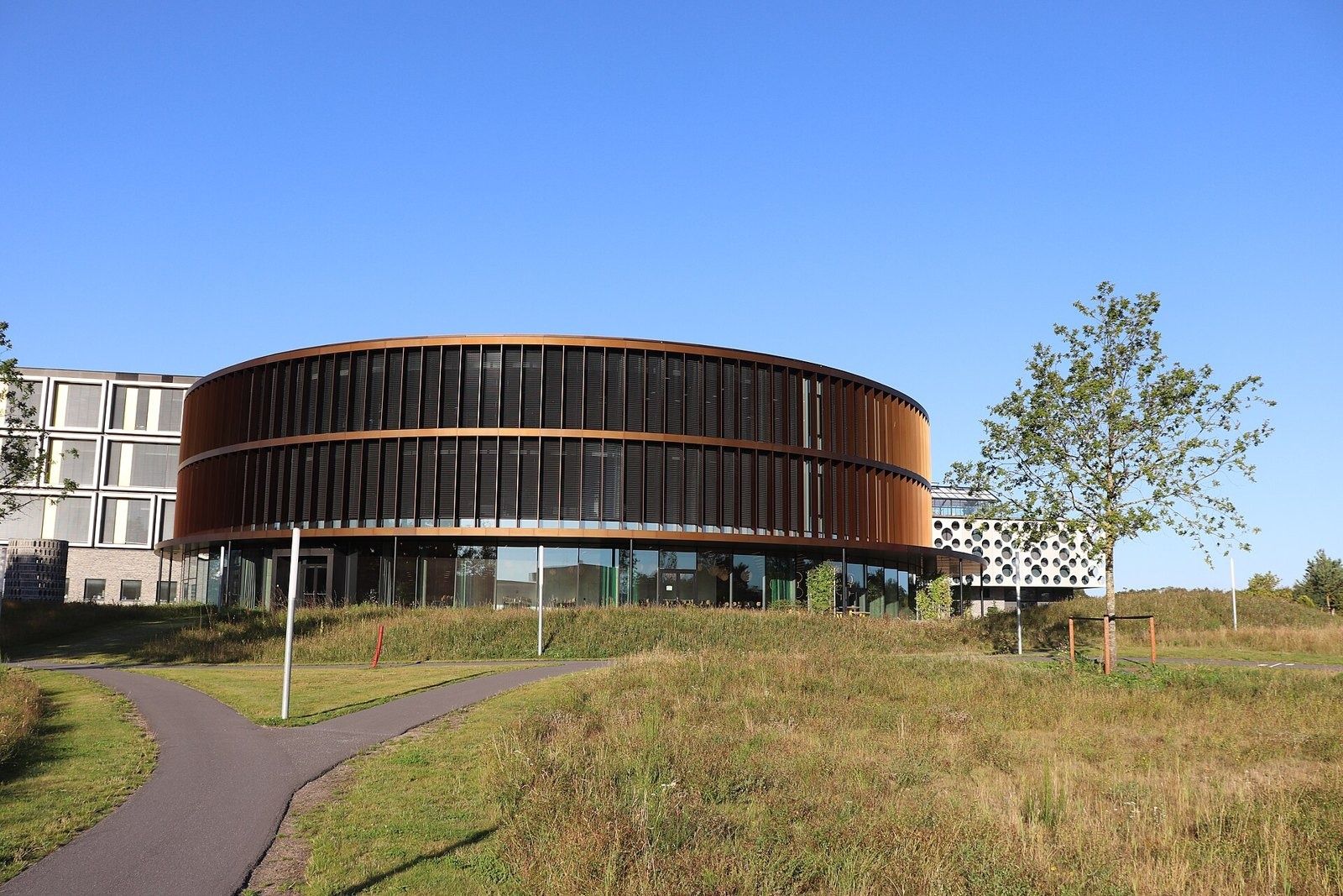 The LEGO Group: Round copper-clad building in the campus park
