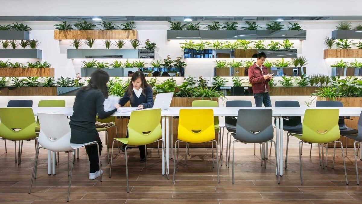 Lenovo: Long tables with colourful chairs under shelves of plants