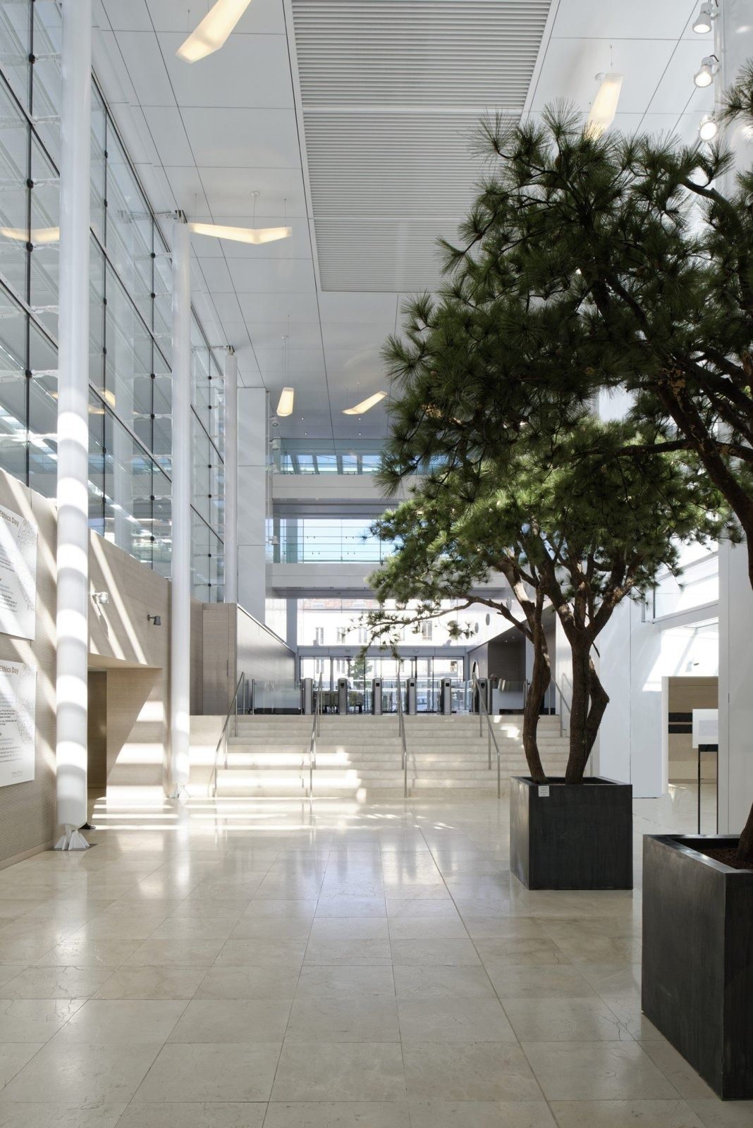 L'Oréal: An atrium with a tree beside glass walkways