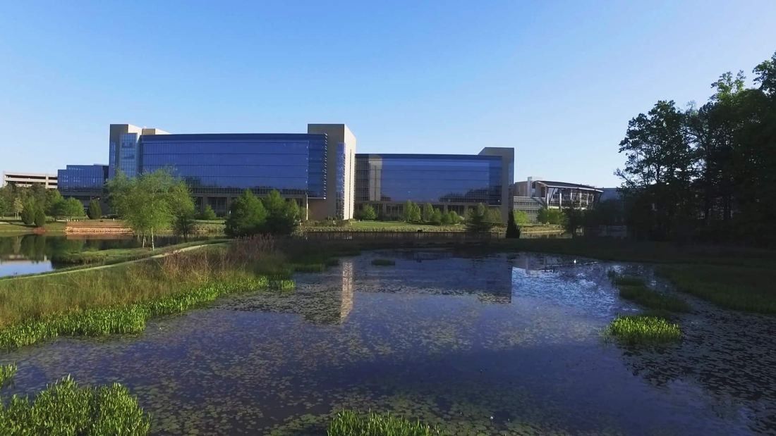 Lowe's: Pond with marsh plants in the foreground and long glass office buildings behind