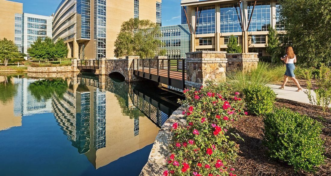 Lowe's: Stone-and-steel footbridge over a pond reflecting tall office buildings, with roses along a path