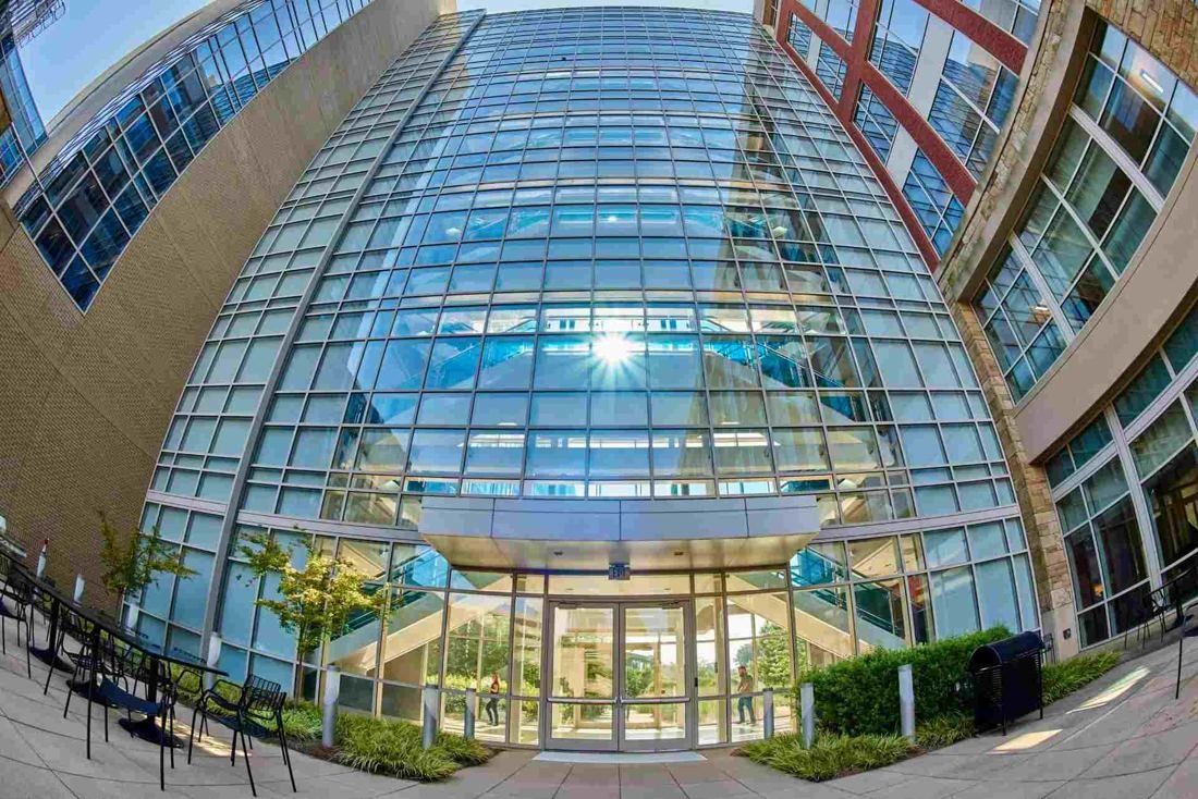 Lowe's: Wide-angle view up a tall curved glass entrance facade between brick wings