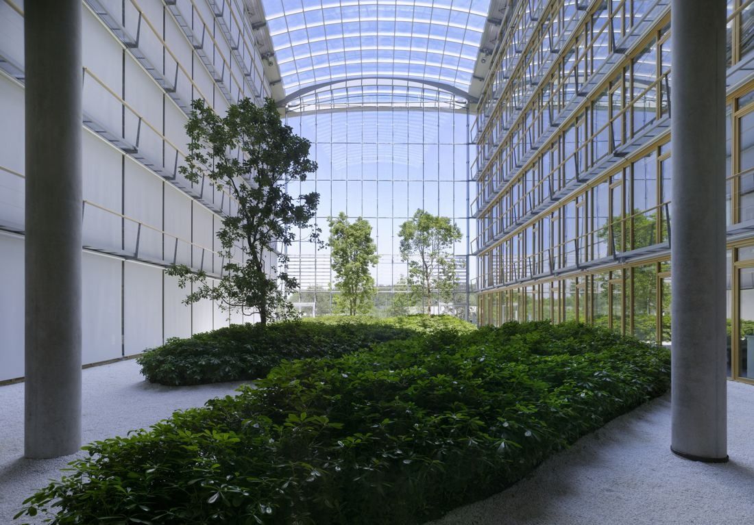 Lufthansa Group: Indoor garden with shrubs and young trees between glass office facades