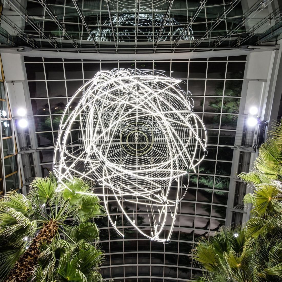 Lufthansa Group: Large light sculpture of looping white lines hanging above palm trees