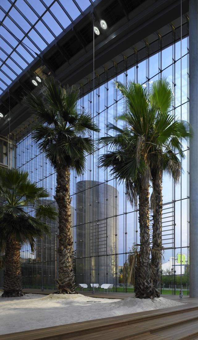 Lufthansa Group: Palm trees in front of a tall glass facade