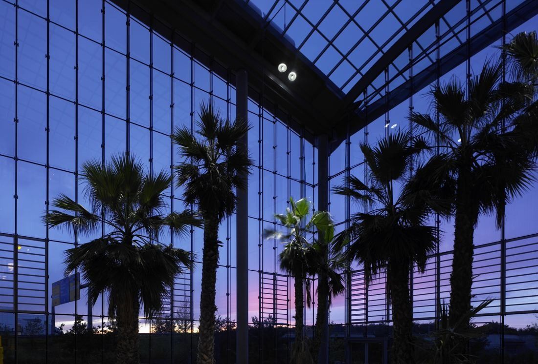 Lufthansa Group: Tall palm trees silhouetted inside a glass-roofed garden hall at dusk