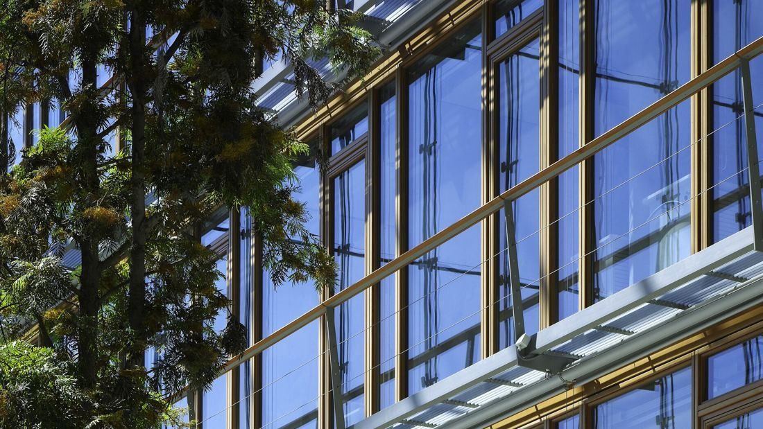 Lufthansa Group: Tree branches in front of a glass and wood-framed office facade