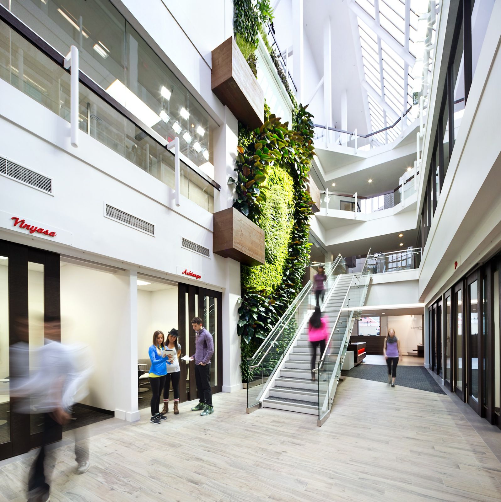 lululemon athletica: Atrium with a staircase in front of a tall living wall