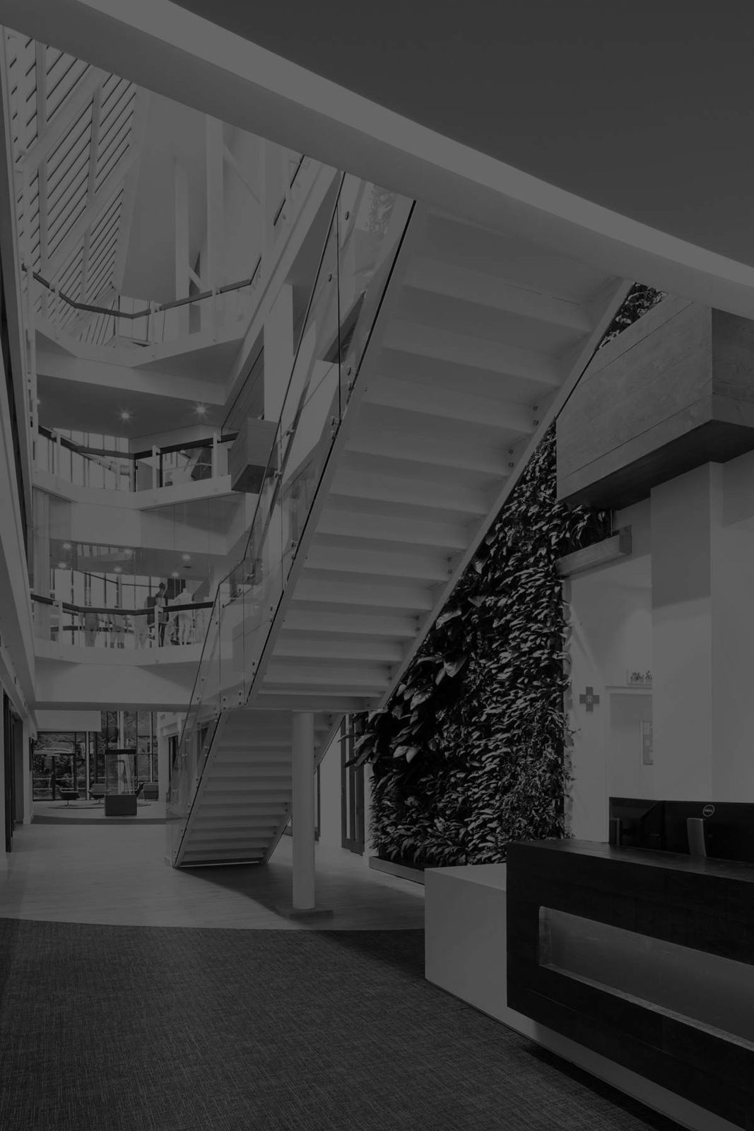 lululemon athletica: Black-and-white view up the atrium stairs