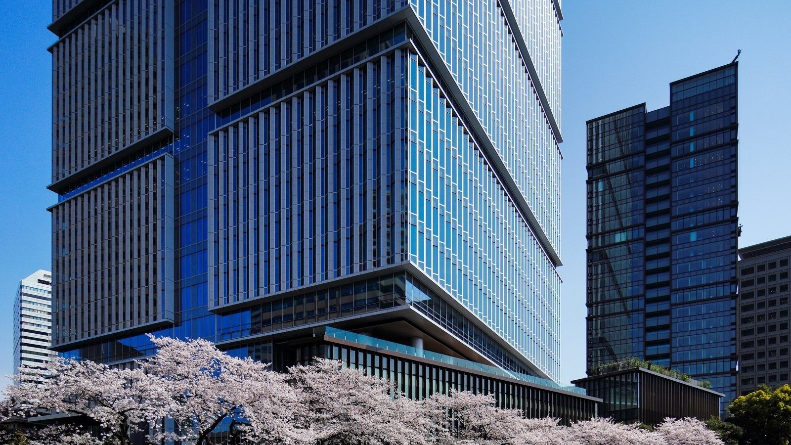 Glass office tower above cherry blossoms