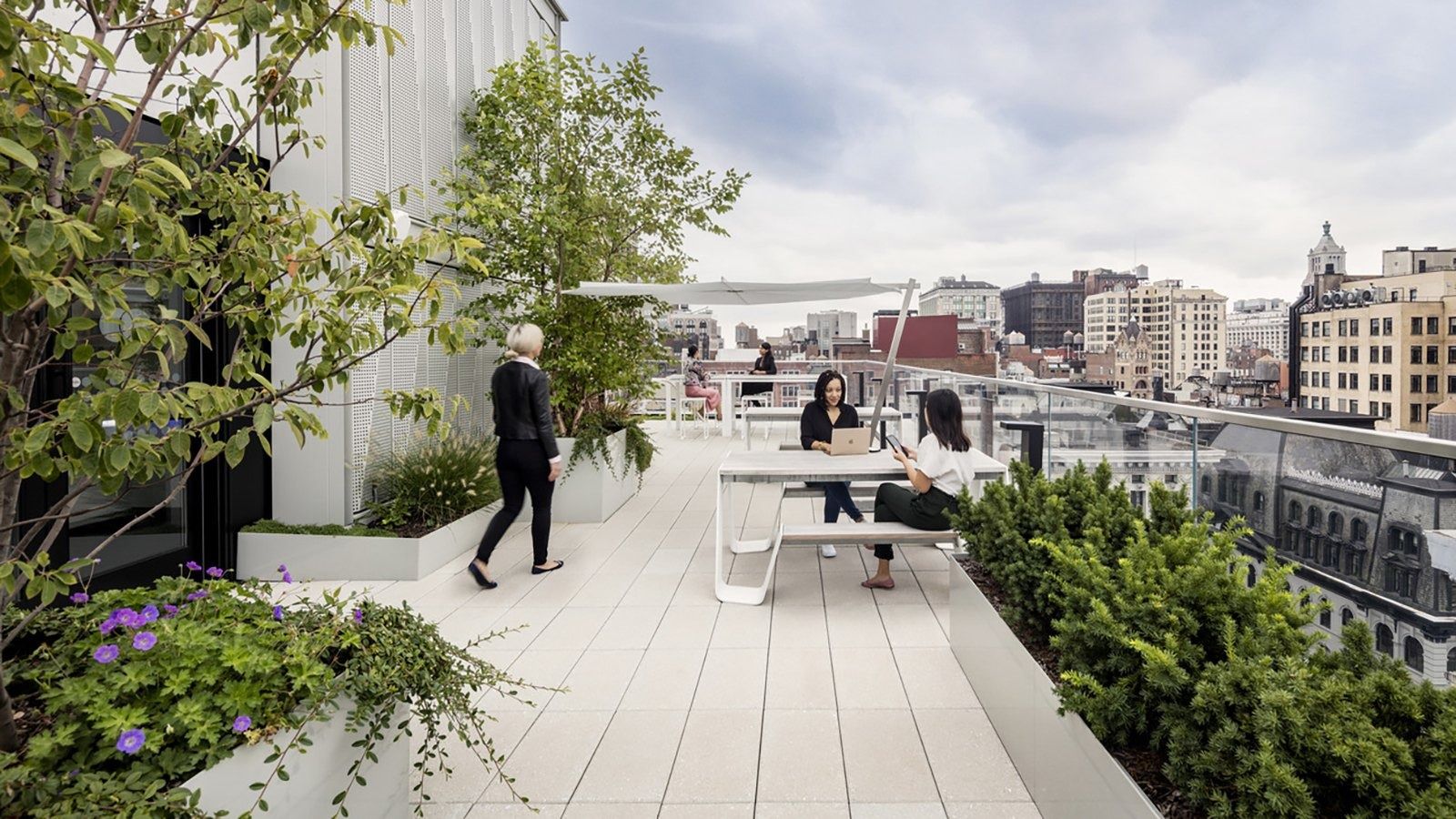 Mastercard: A planted roof terrace over Manhattan