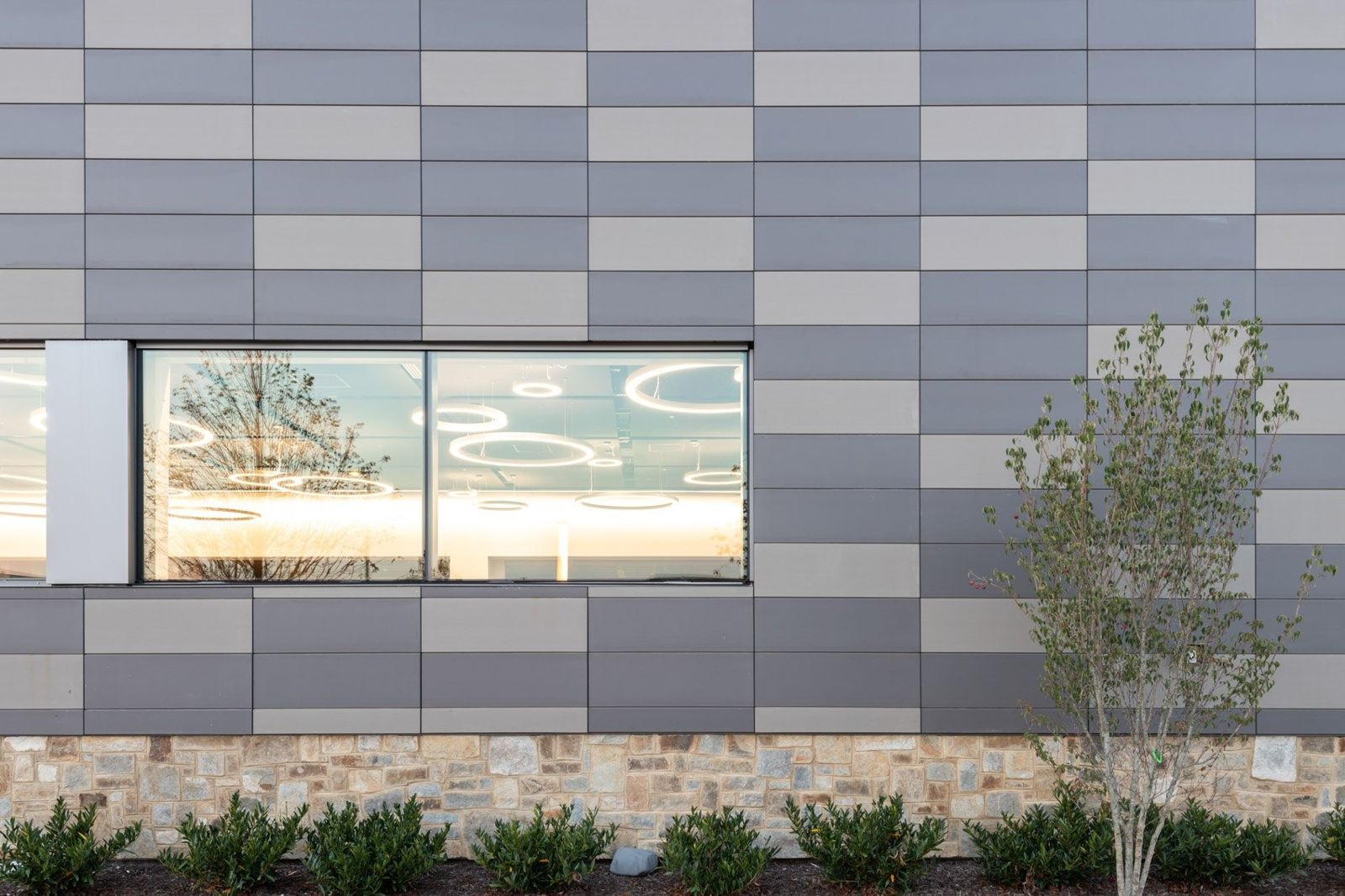 McCormick: Gray paneled wall with a window and young trees