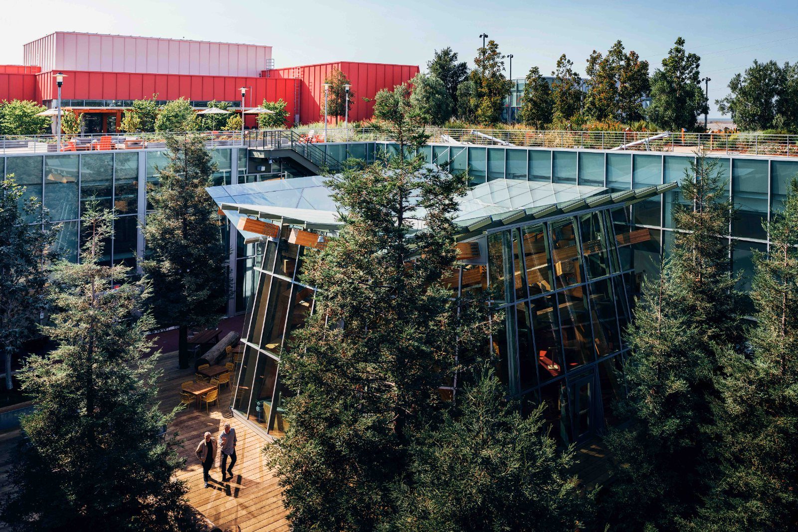 Tall redwoods inside a glass-walled courtyard
