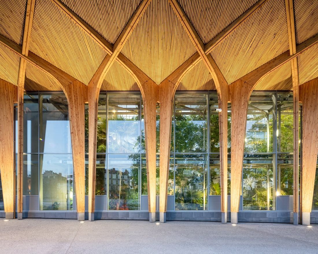 Michelin: Close view of branching wooden arches framing tall glazing