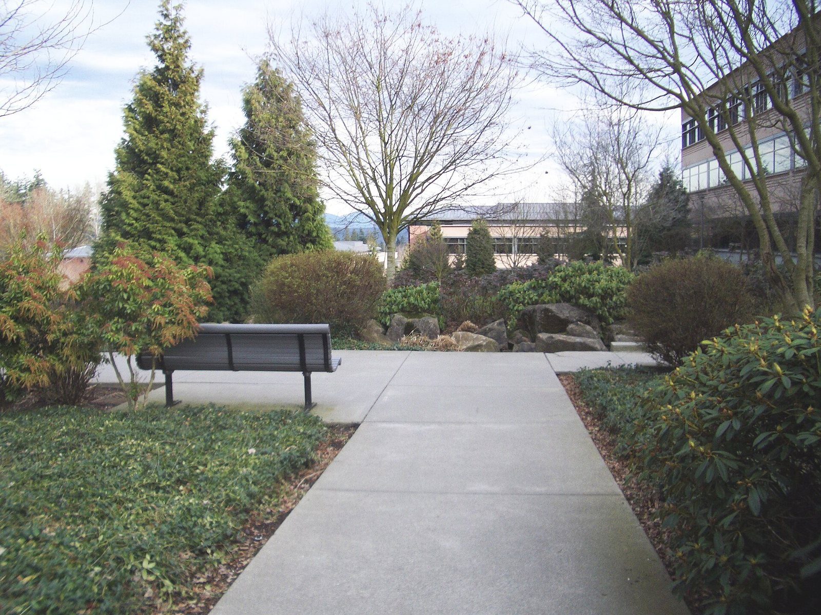 Path with a bench through gardens