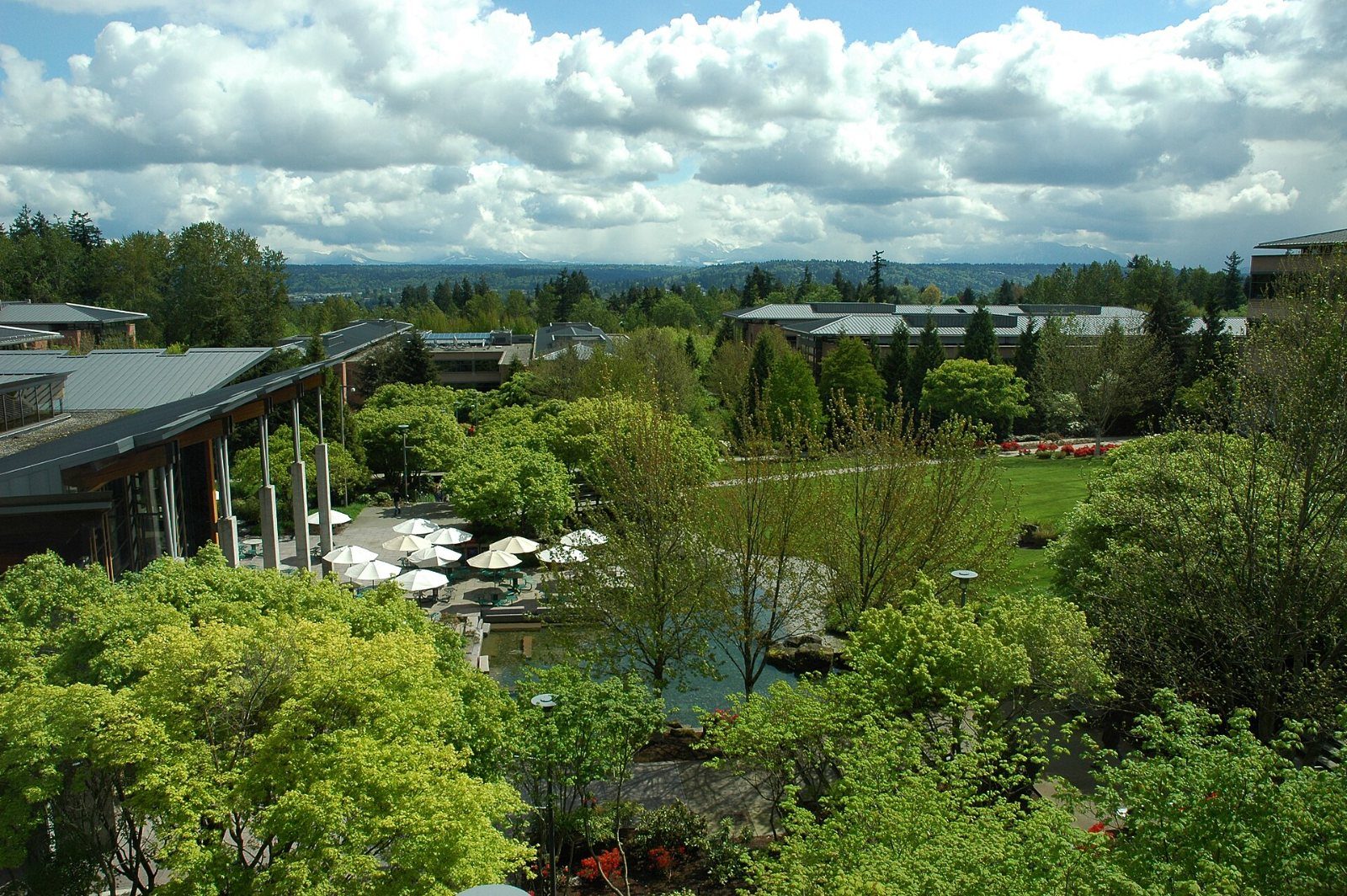 Garden courtyard with trees and umbrellas between buildings