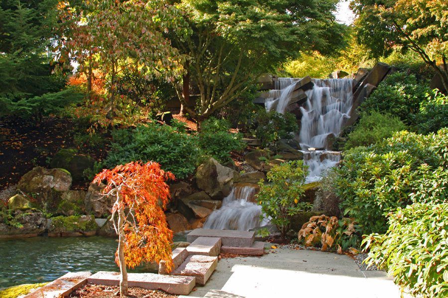 Small waterfall and pond with autumn trees