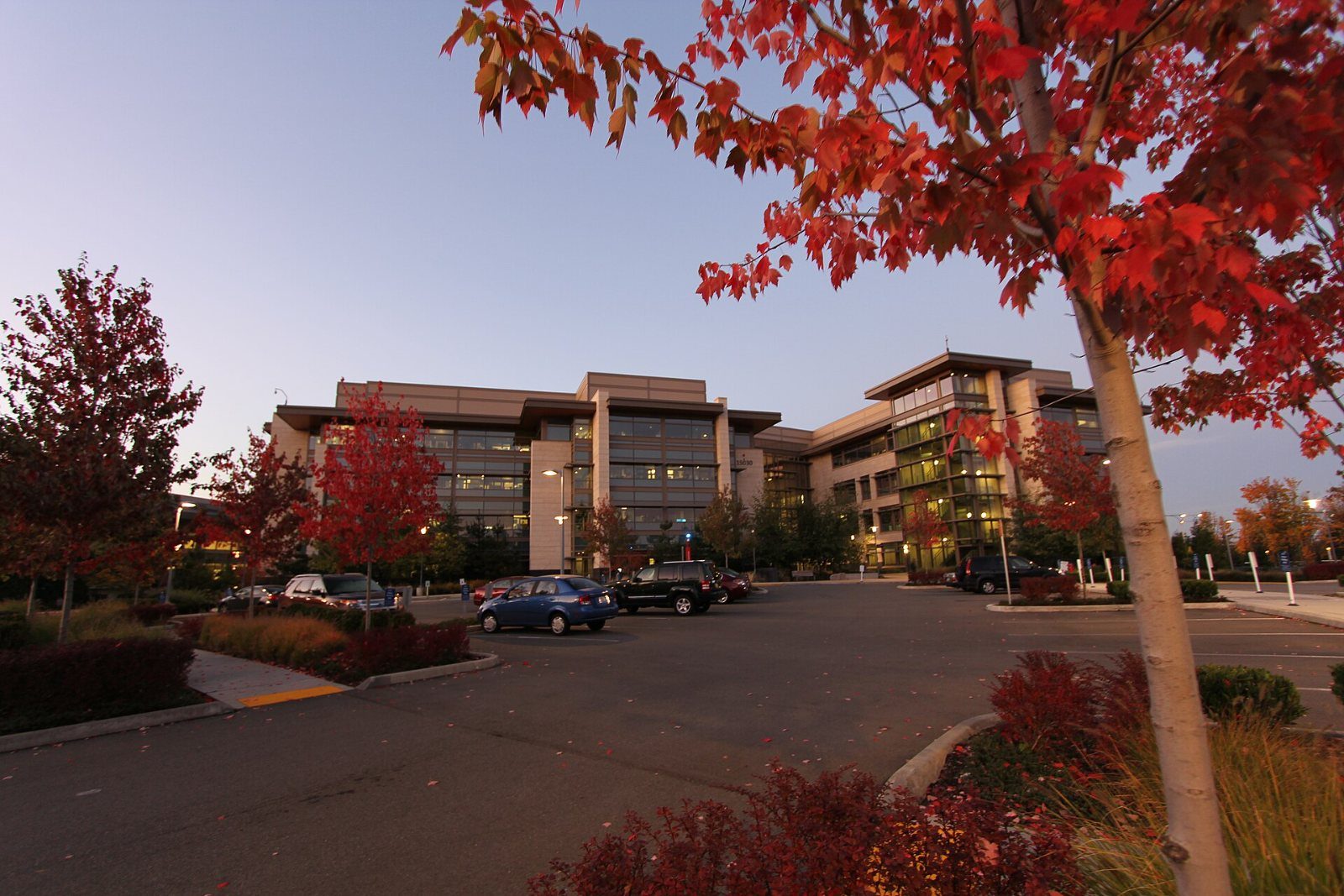 Office buildings behind red autumn trees