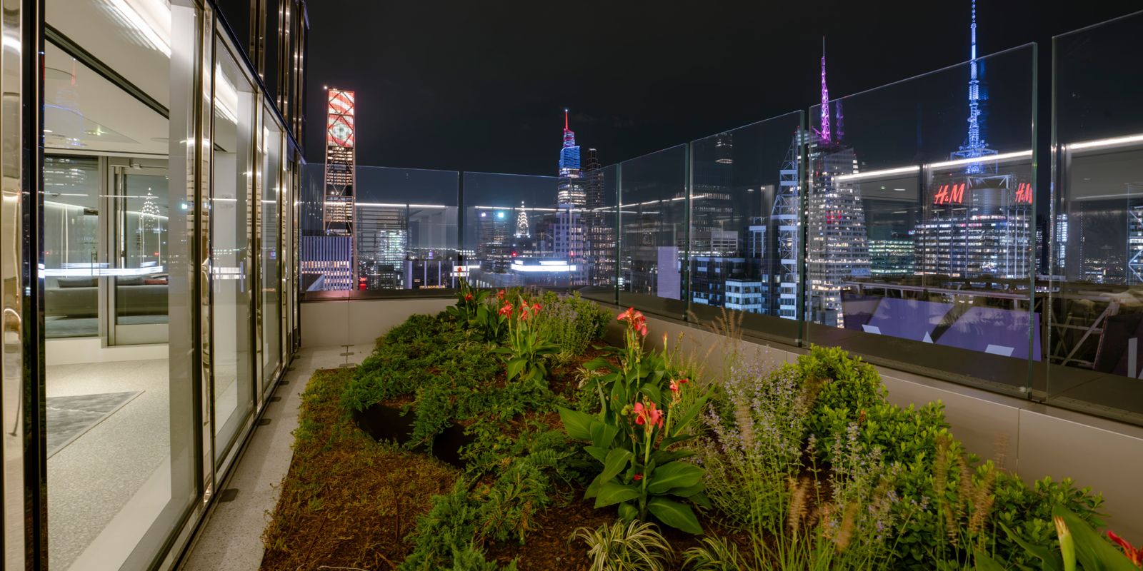 Morgan Stanley: Planted terrace with a glass railing above Times Square at night