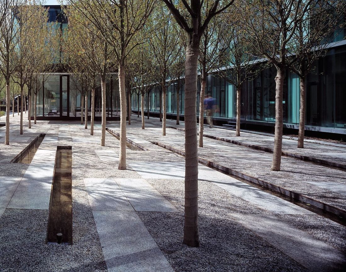 Munich Re: Paved courtyard planted with rows of slim trees beside a glass façade