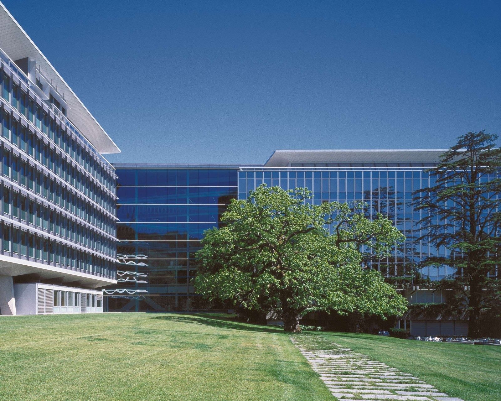 The renovated headquarters behind a lawn and tree