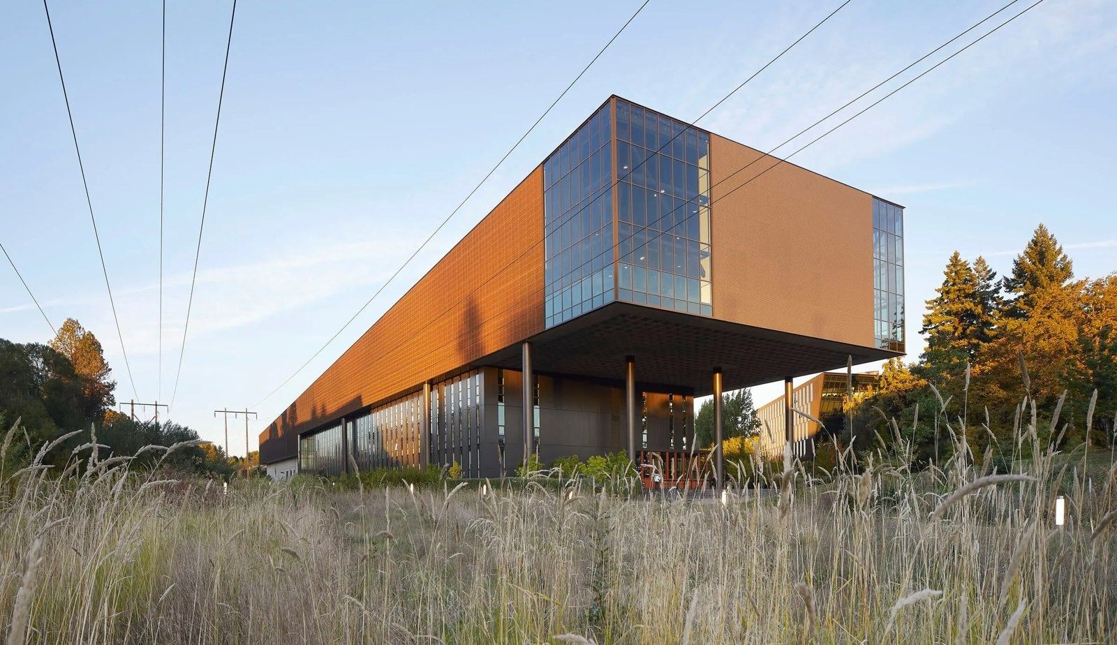 Nike: A building clad in rust-colored panels above meadow grasses