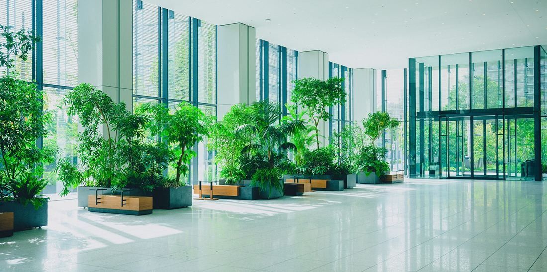 Nikon: Entrance hall with clusters of potted plants by tall windows