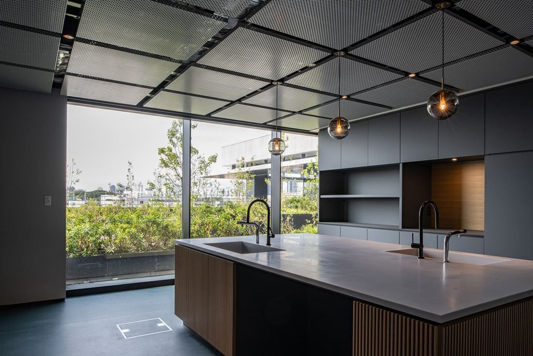 Nikon: Kitchen island with pendant lights by a window onto planting