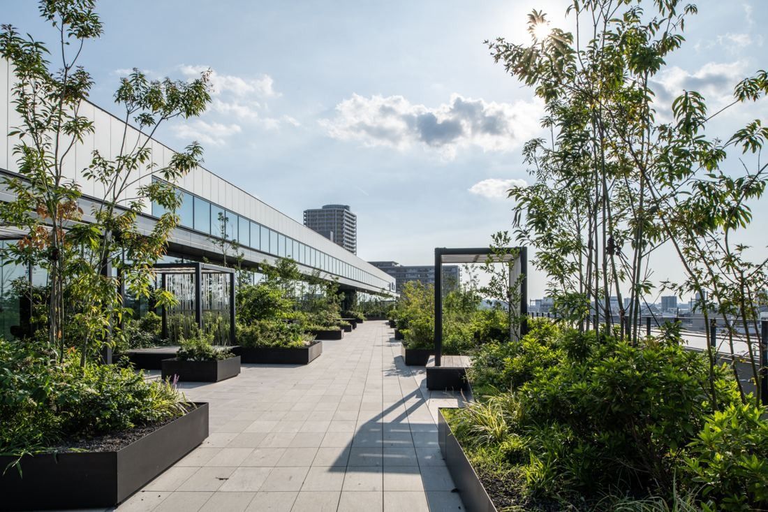 Nikon: Planted roof terrace with paving and young trees
