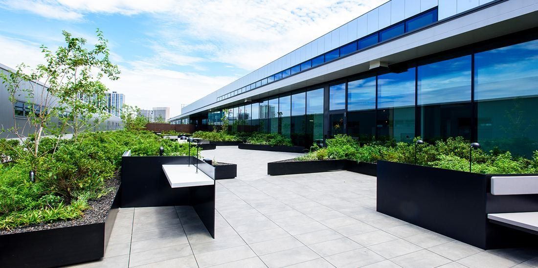 Nikon: Roof terrace with planters and seating beside the building
