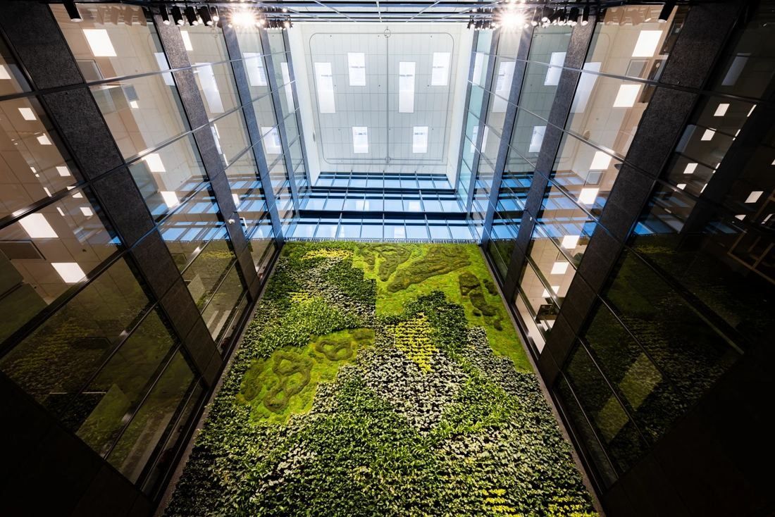 Nordea: Large wall of green plants seen from below in a tall glass atrium