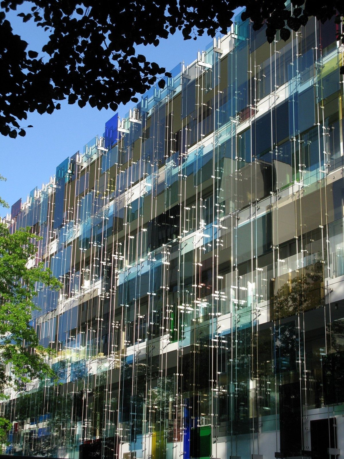 Novartis: Coloured glass façade seen through leaves