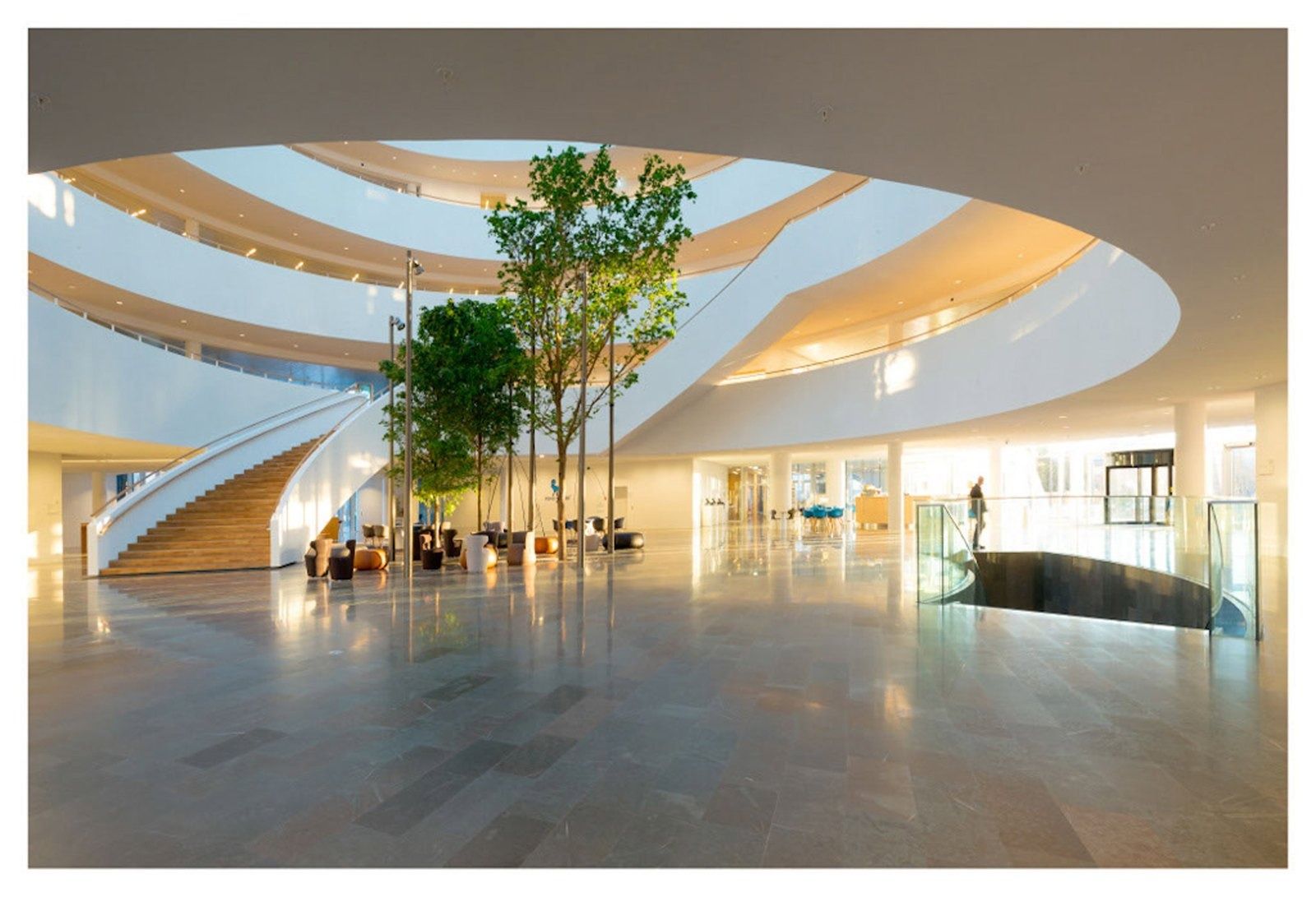 Novo Nordisk: A bright atrium floor with trees under curving balconies