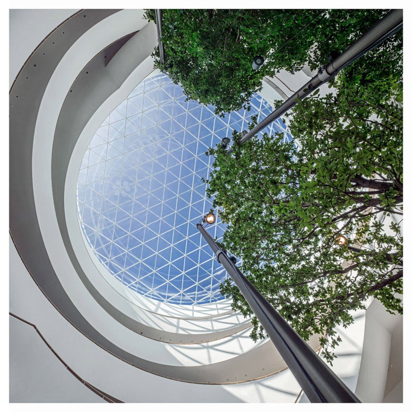 Novo Nordisk: Looking up past a tree to the glass roof