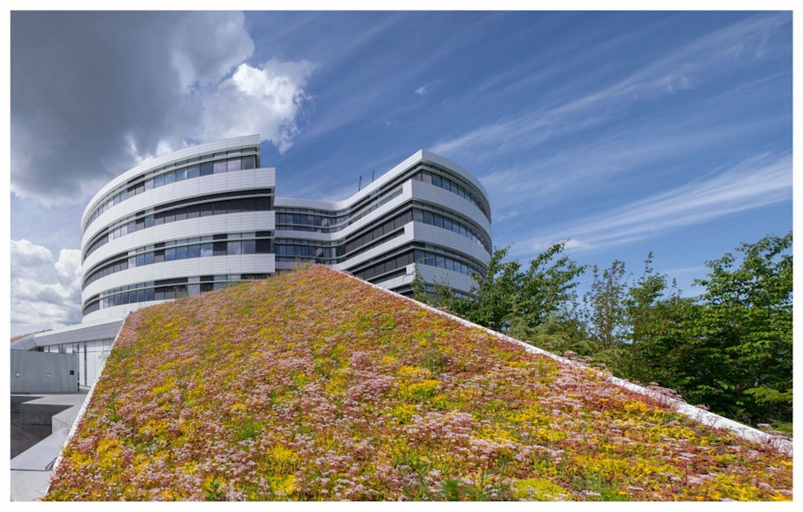 Novo Nordisk: The round building beside a green roof