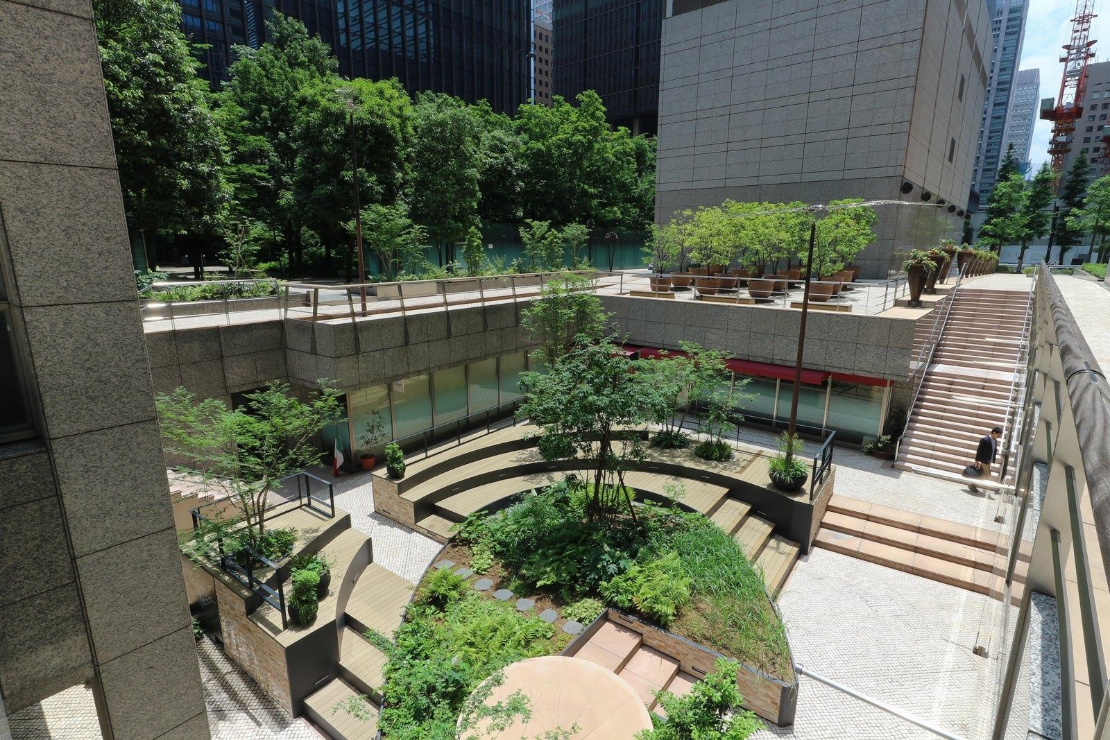 NTT: Sunken garden seen from above with steps and trees