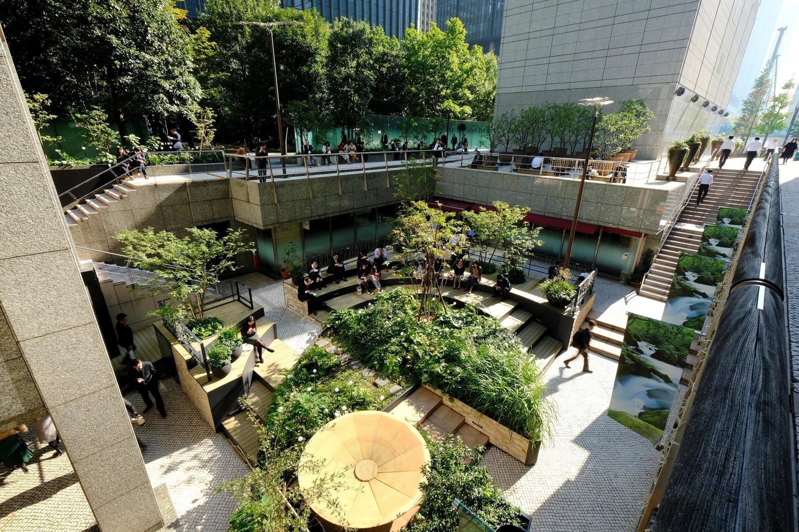 NTT: Terraced sunken garden with trees and paths
