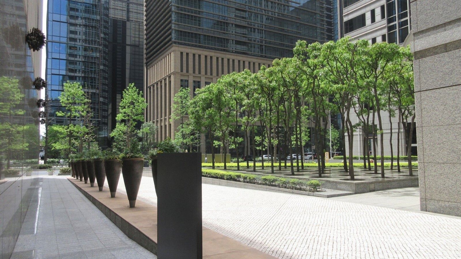 NTT: Tree-lined plaza between buildings
