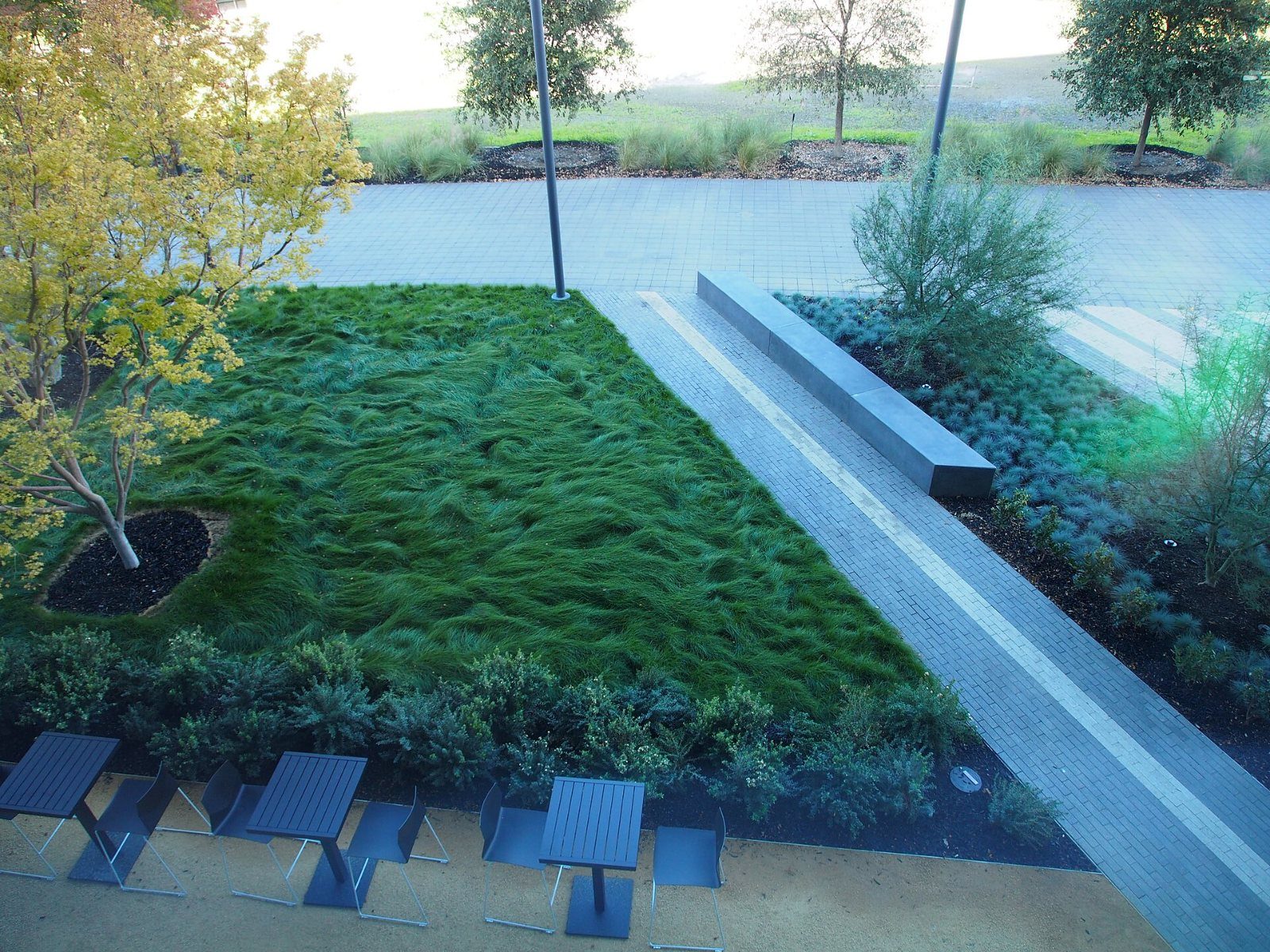 Waving grass garden with tables