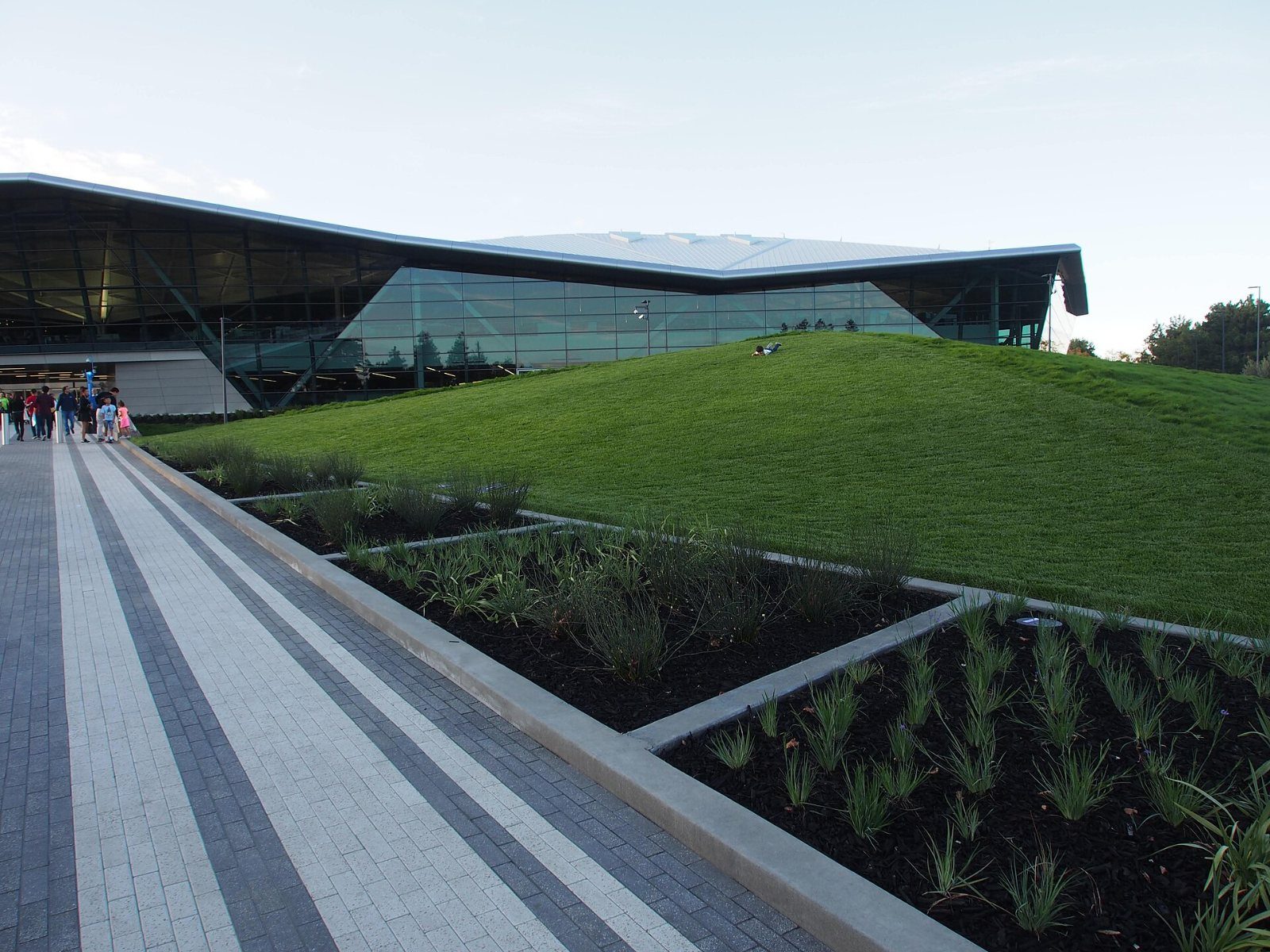Path beside a sloping lawn and planting