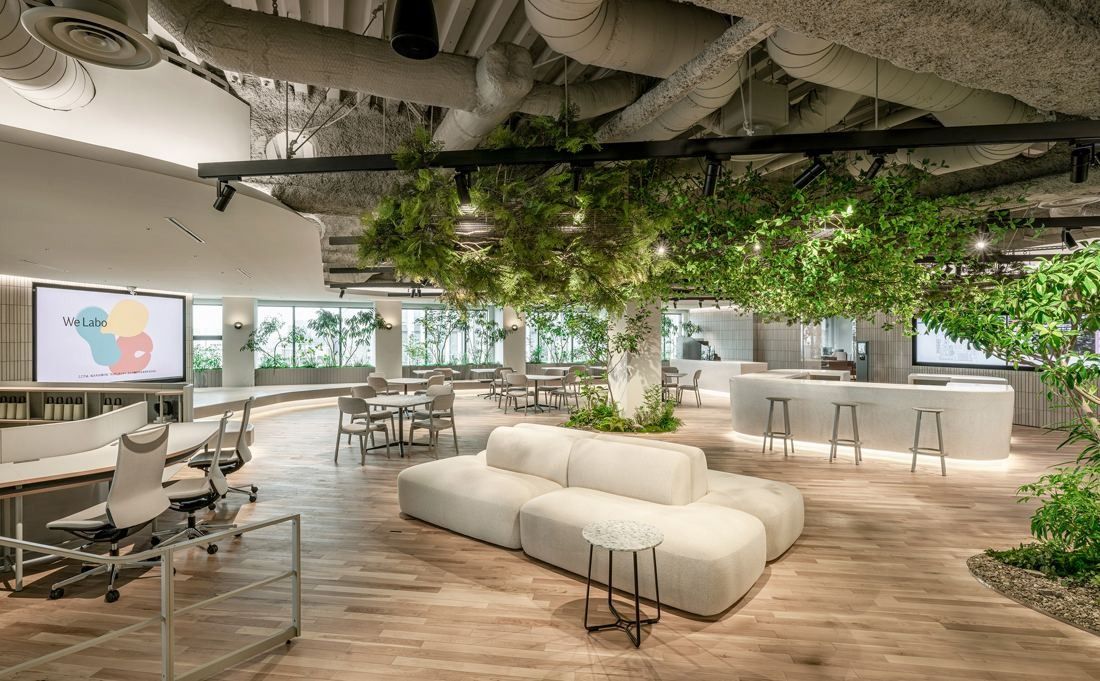 Open floor with a canopy of greenery hanging from an exposed ceiling, a white sofa and a large screen