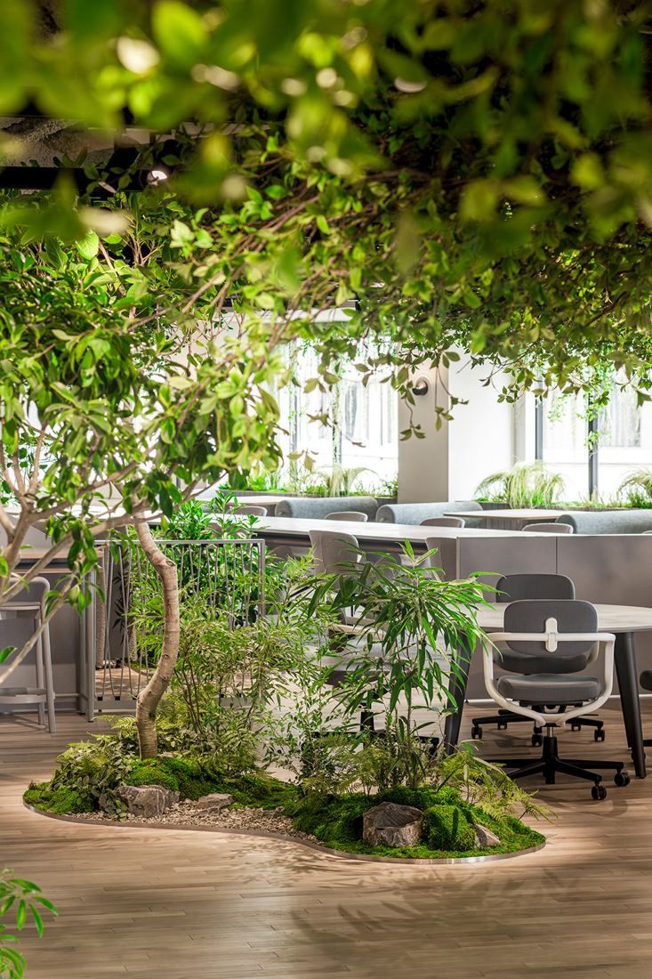 Okamura: Planted island with small trees under a hanging green canopy