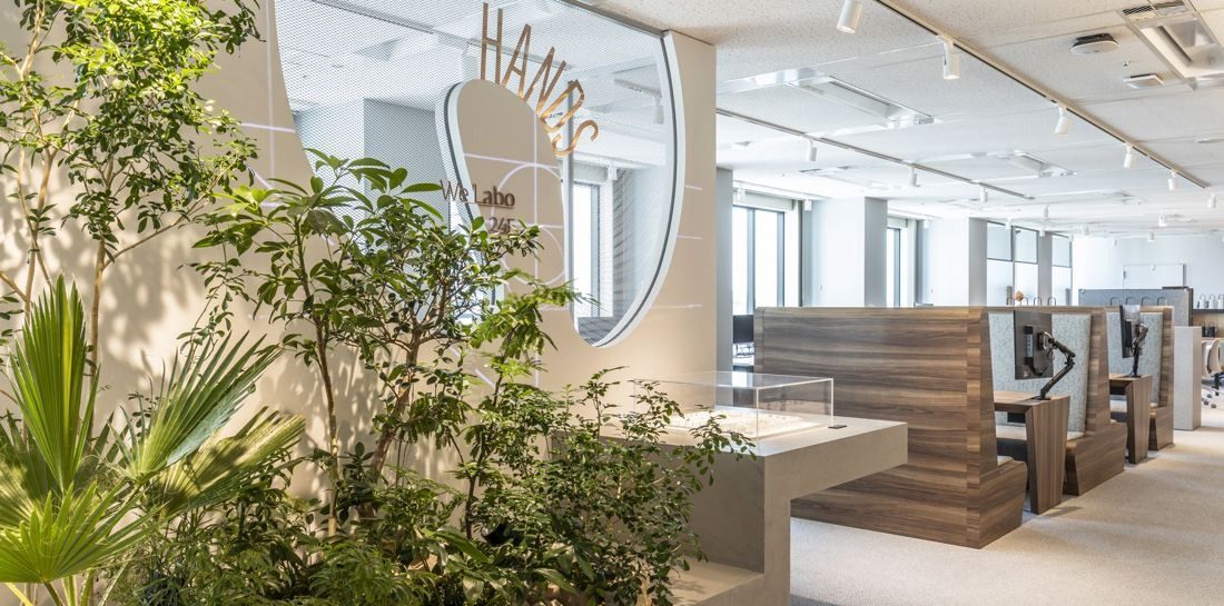 Okamura: Planting in front of desks and a curved wall sign