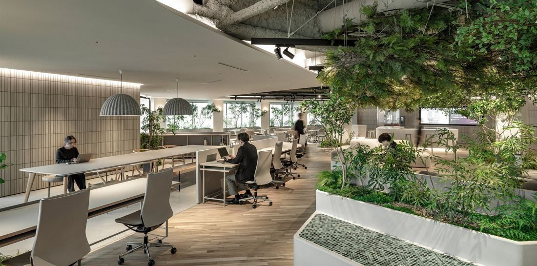 Okamura: Window counter and long desks beside planters filled with greenery