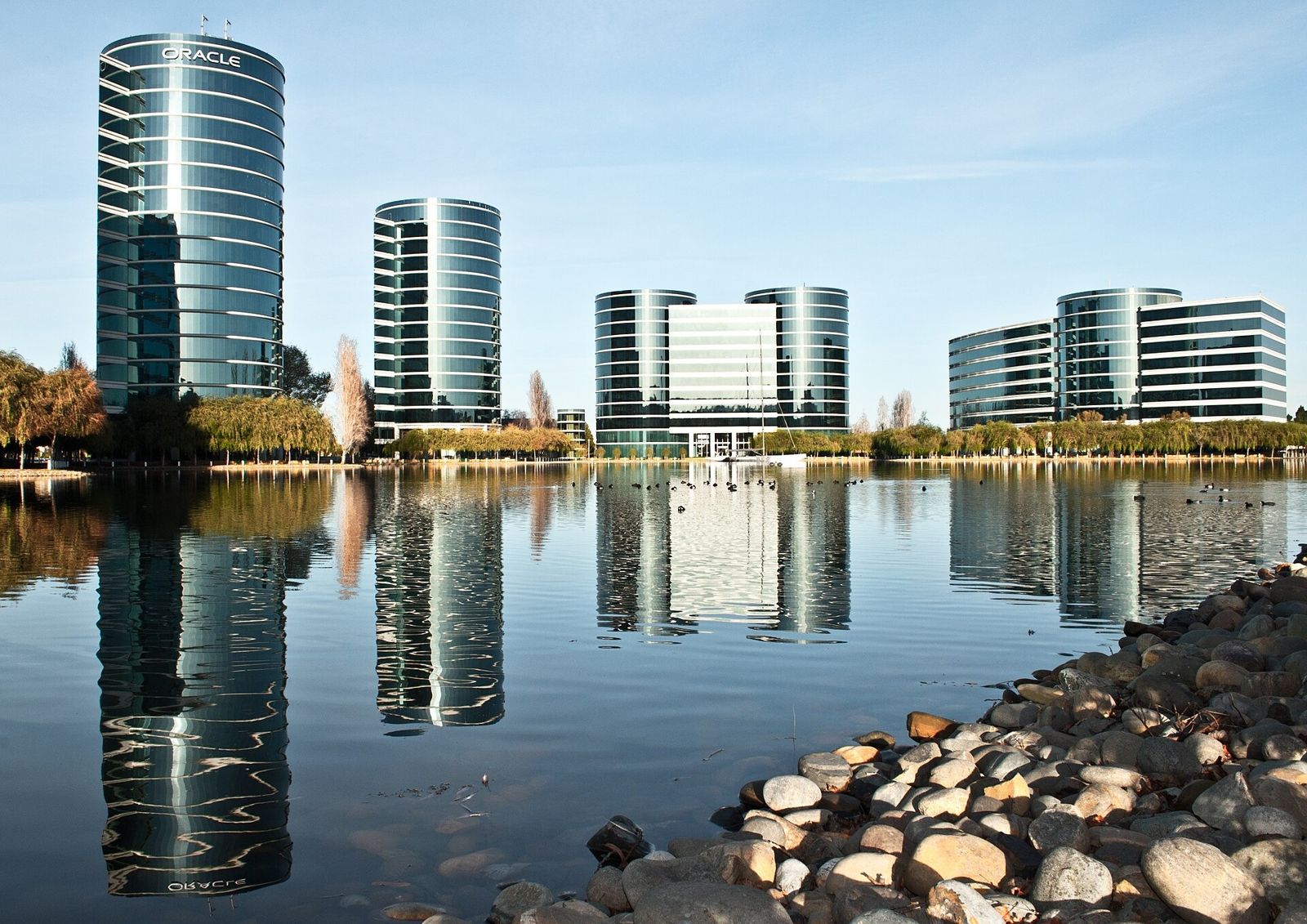 Oracle: Oracle towers reflected in the lagoon