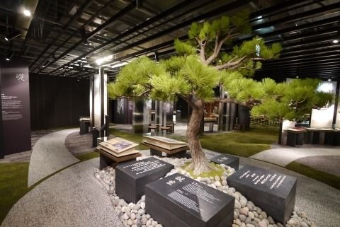 Museum hall with a pine tree, stones and exhibit panels